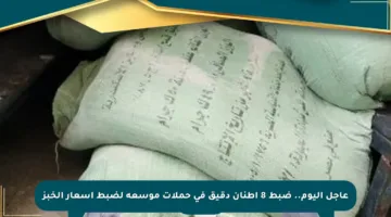 عاجل اليوم.. ضبط 8 أطنان دقيق في حملات موسعة لضبط أسعار الخبز